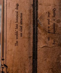 Antiques Antiques&Collectibles Early '900 Belladonna Leaves Pharmaceutical Tin By J. L. Hopkins Co. - New York