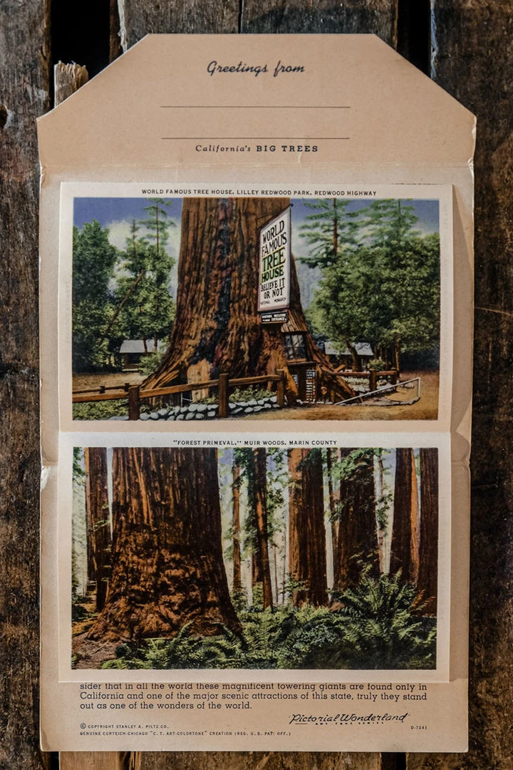 Antiques 1930/40's Lot N°1 - 3 Linen Souvenir Postcard Folders 12 Antiques 1930/40's Lot N°1 - 3 Linen Souvenir Postcard Folders