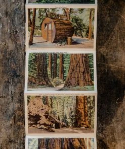 Antiques 1930/40's Lot N°1 - 3 Linen Souvenir Postcard Folders